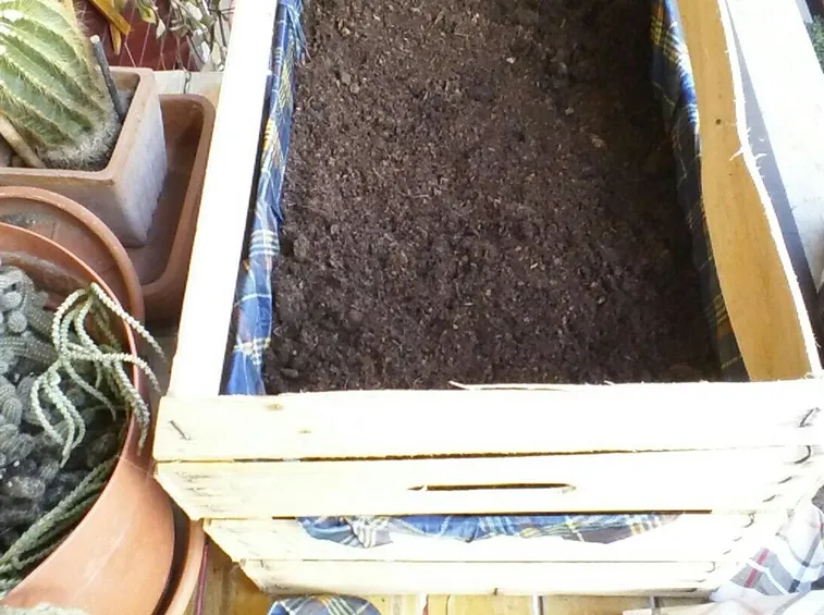 Terriccio bio