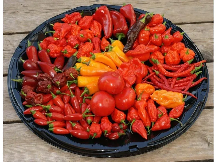 Piatto di peperoncini di varia forma e colore