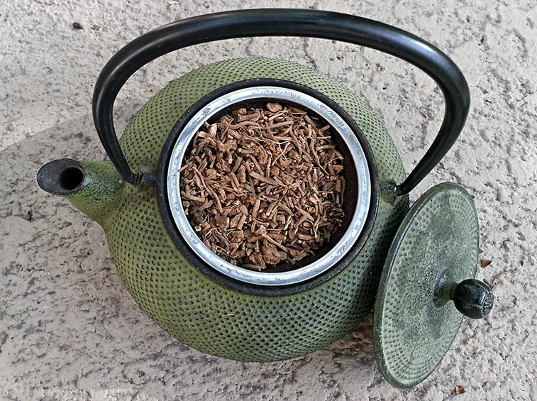 valeriana infuso