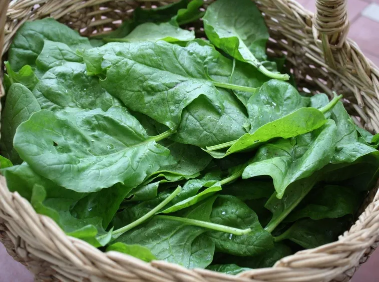 Spinaci e altre verdure invernali