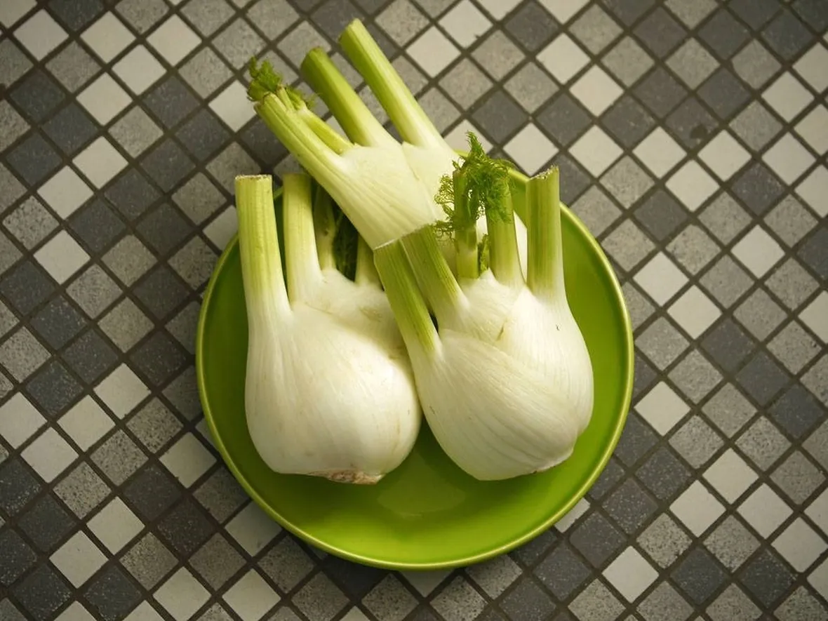 Verdure invernali: finocchi
