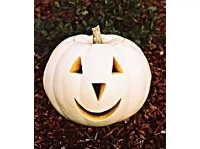 zucca verde