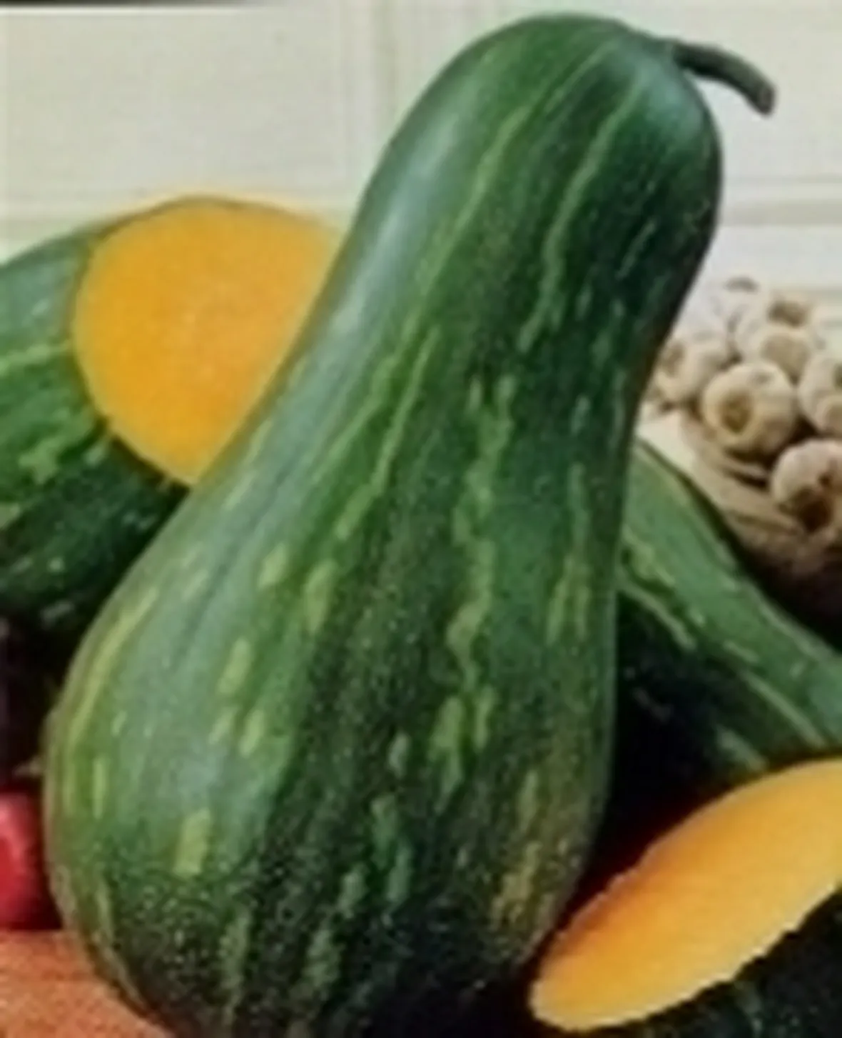 zucca