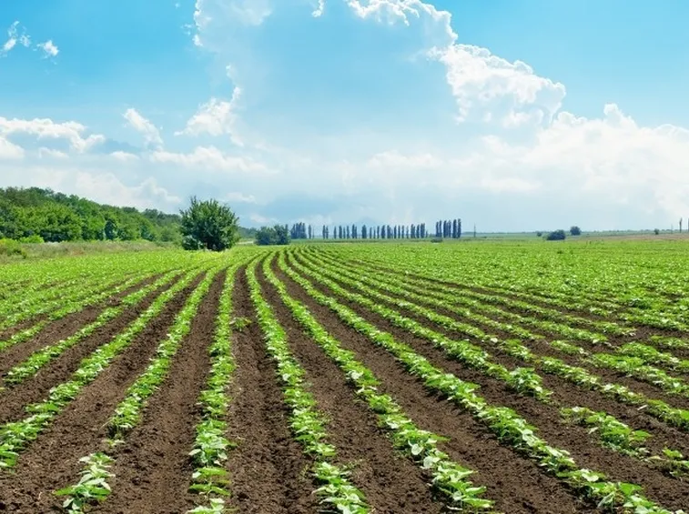 azienda da agricoltura biologica
