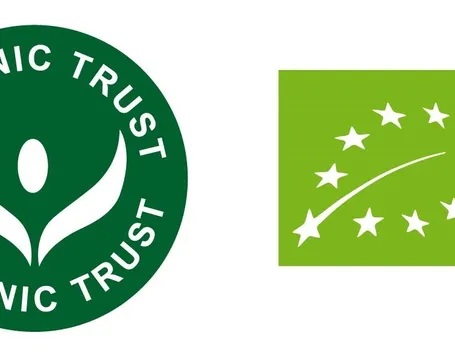 A destra, il logo ufficiale dal 2010