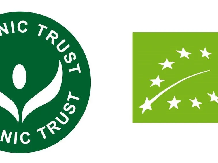 A destra, il logo ufficiale dal 2010