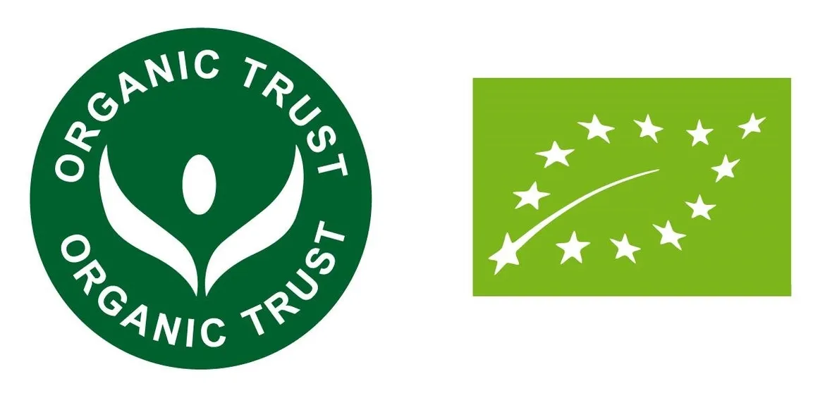 A destra, il logo ufficiale dal 2010