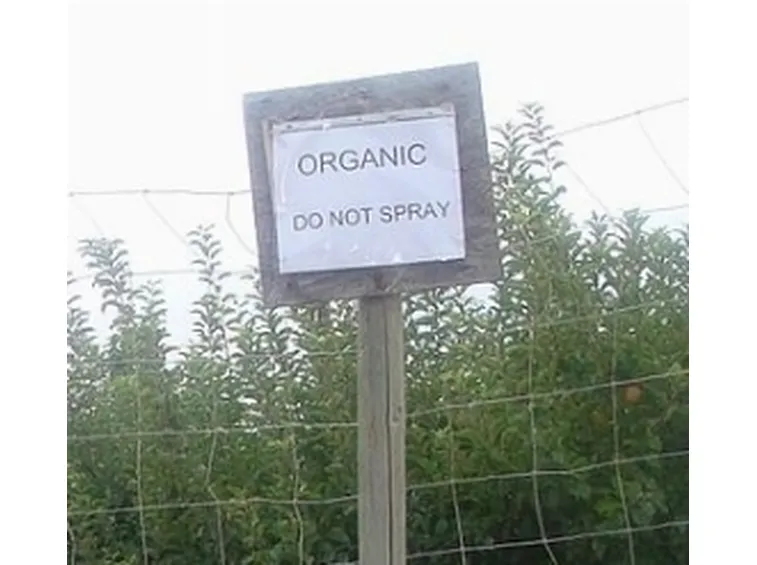 agricoltura biologica