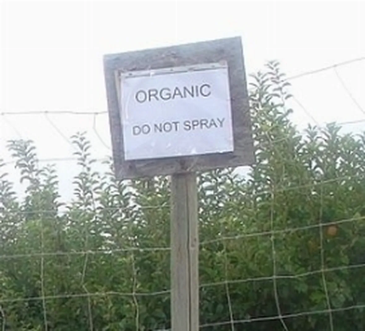 agricoltura biologica