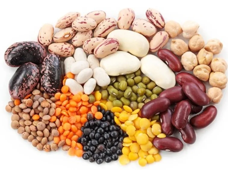Legumi biologici benefici per il terreno