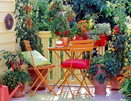 Coltivazioni sul terrazzo.