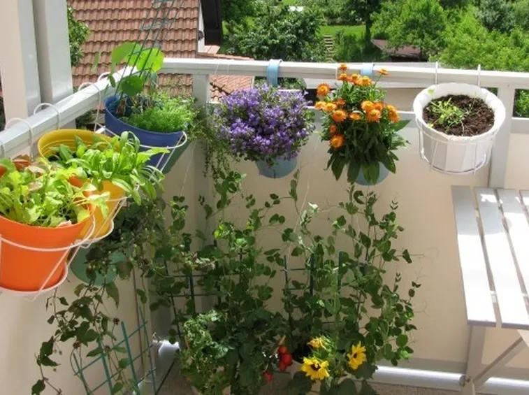 Terrazzo ecologico
