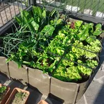 Orto da balcone
