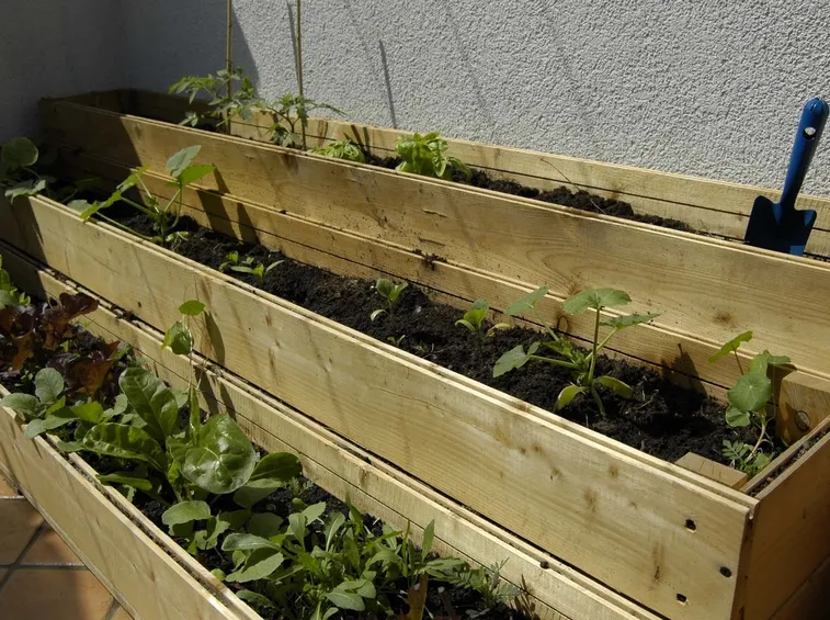 Esempio di orto da balcone autocostruito
