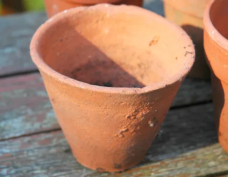 Vasi in terracotta