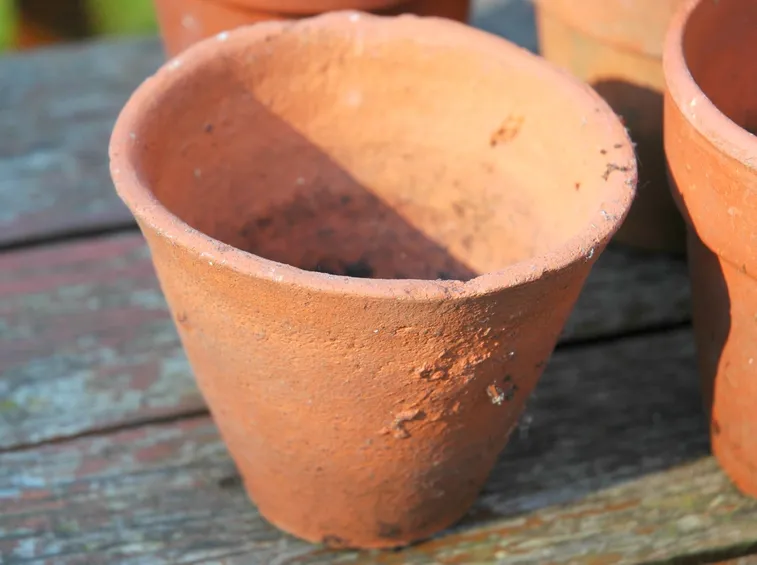 Vasi in terracotta