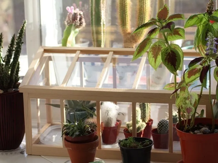 Mini serra sul balcone