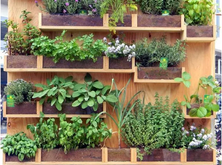 orto verticale nel terrazzo