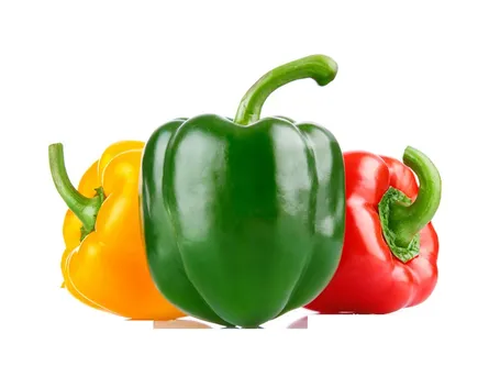 peperoni fondo bianco