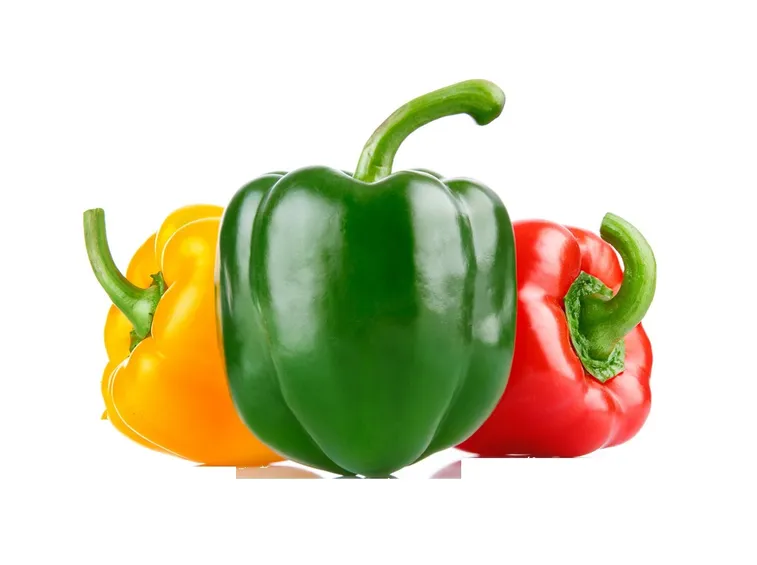 peperoni fondo bianco