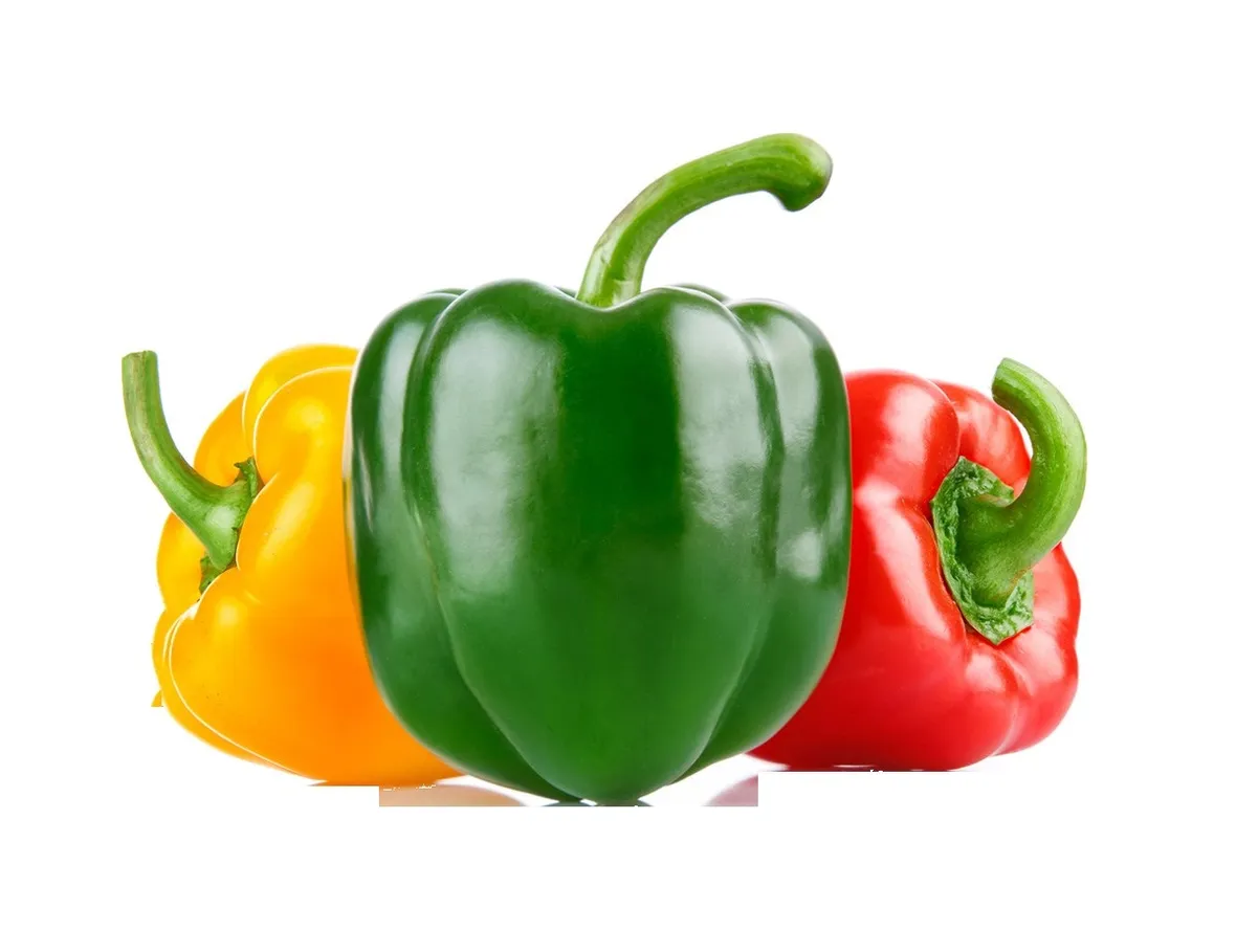 peperoni fondo bianco