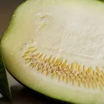 Zucchina con semi