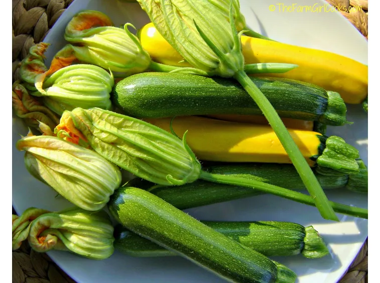 Zucchine e fiori