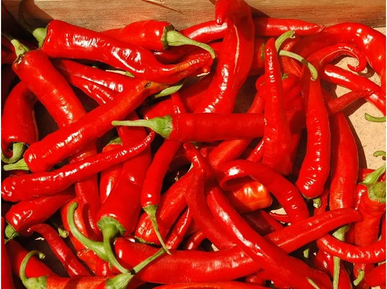 peperoncino calabrese