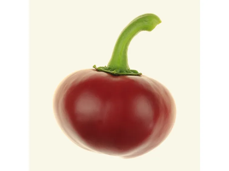peperoncino piccante cherry bomb