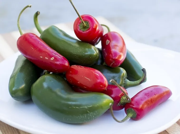 peperoncino Jalapeño