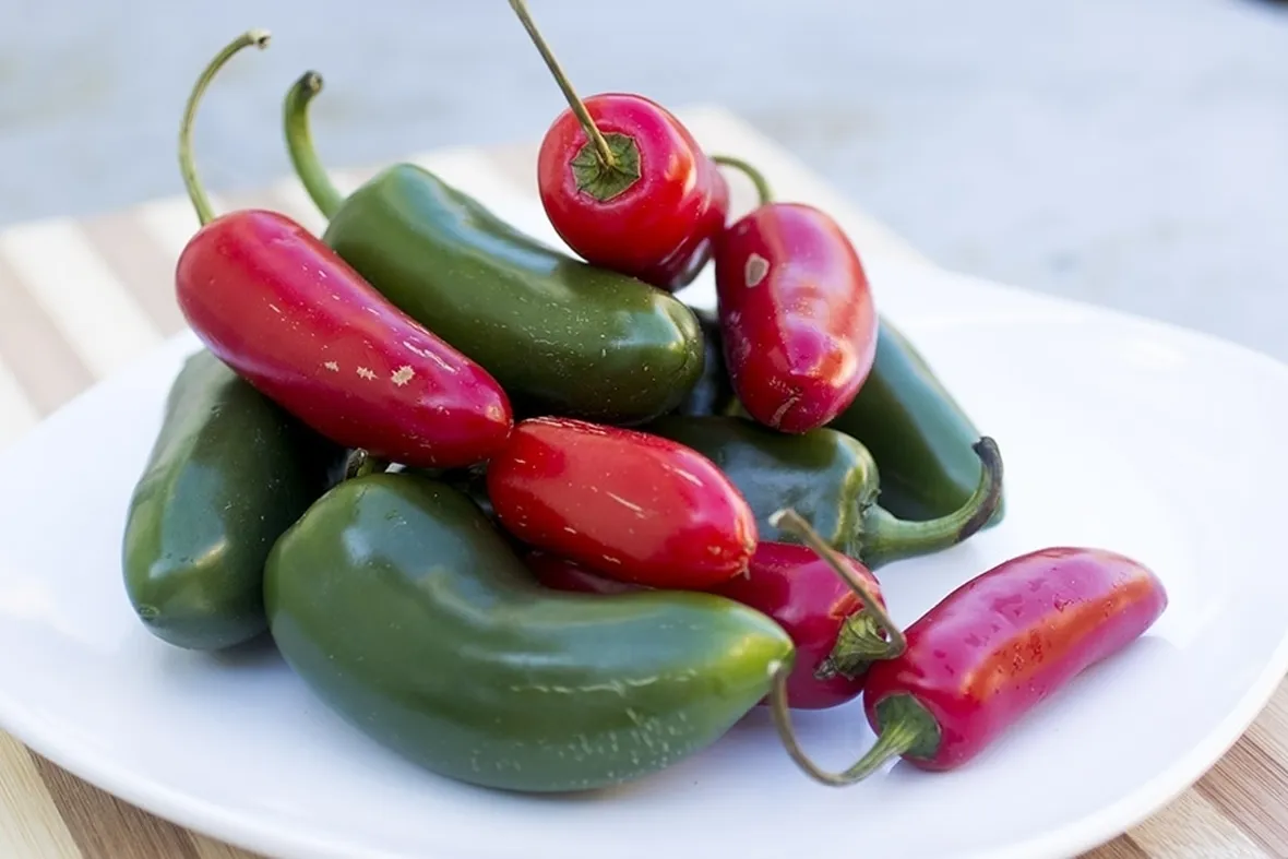 peperoncino Jalapeño