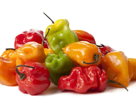 peperoncini habanero