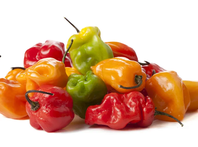 peperoncini habanero