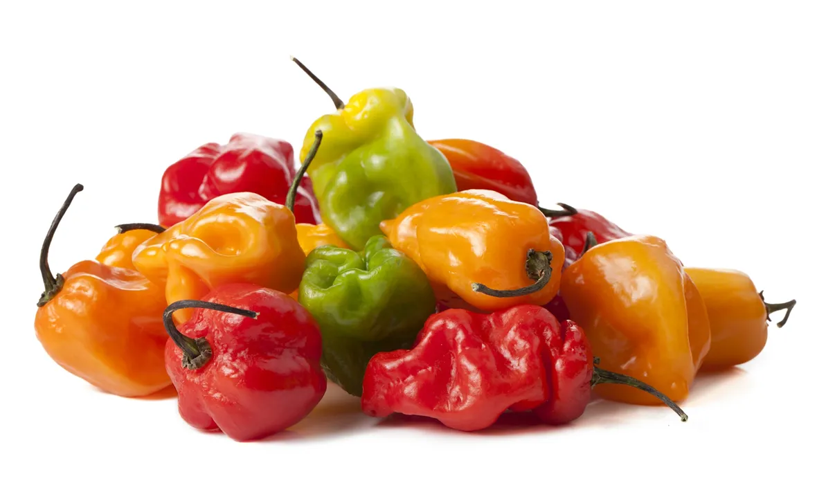 peperoncini habanero