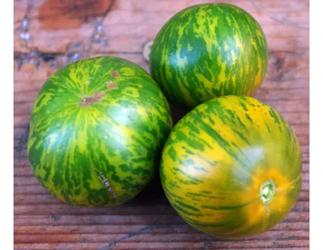 pomodori zebrati