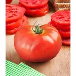 Pomodoro chilo
