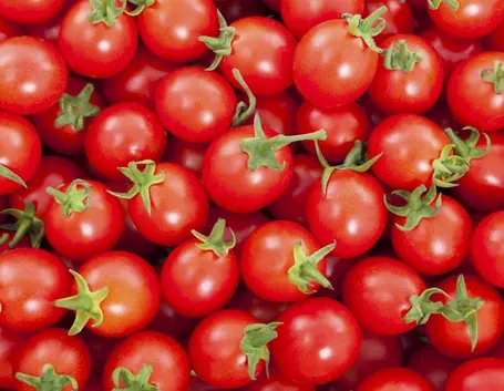 pomodoro ciliegino