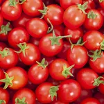 pomodoro ciliegino