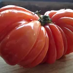 Pomodoro cuore di bue