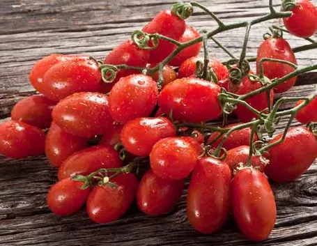 Pomodoro San Marzano