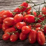 Pomodoro San Marzano