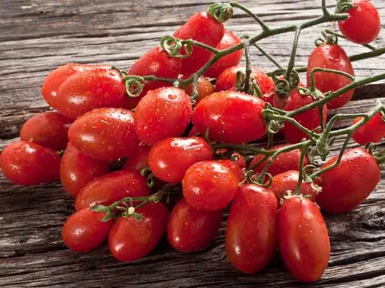 Pomodoro San Marzano