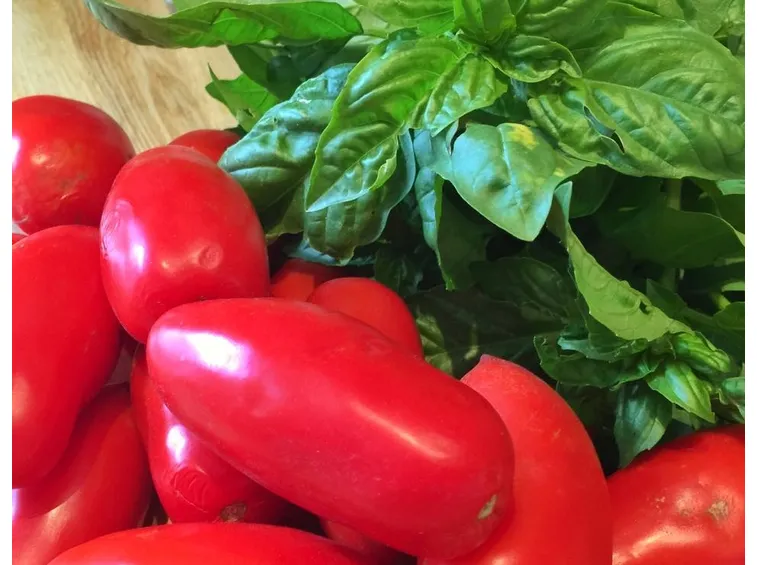 pomodoro san marzano