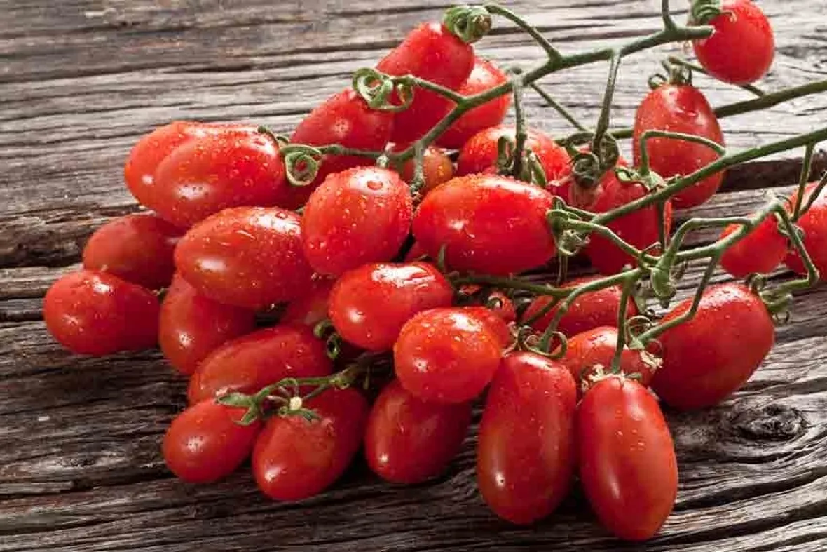 Pomodoro San Marzano