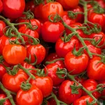 pomodoro tondo liscio
