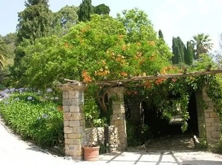 Pergole e tettoie da giardino