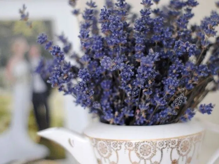 Fiori di lavanda secchi in una teiera