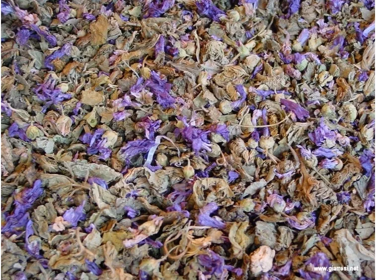 fiori secchi profumati