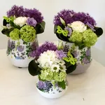 Composizioni di fiori secchi fai da te