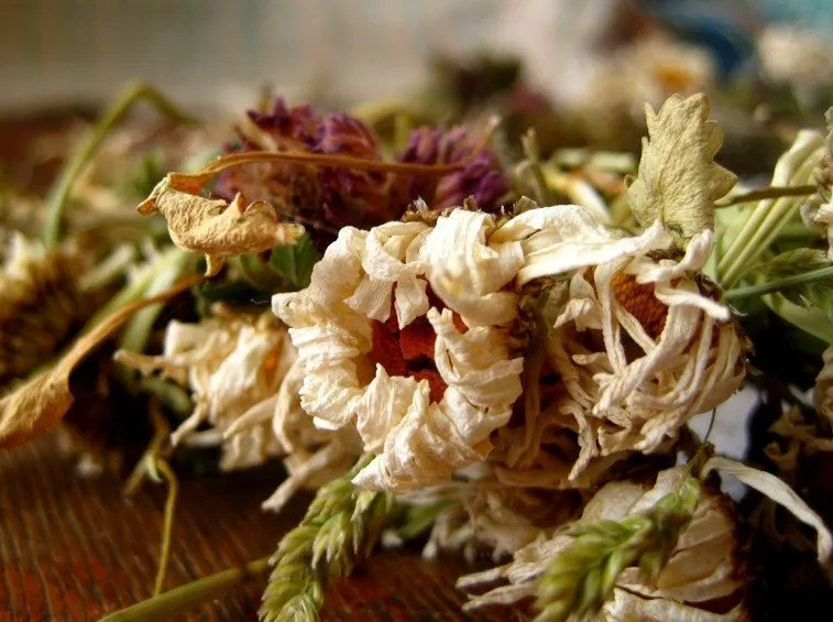 Mazzo di fiori secchi
